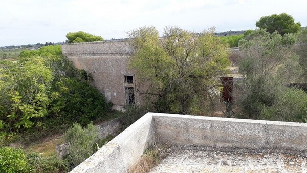 1#6462 Quota del 100% del capitale sociale di Chorio Srl in vendita - foto 33