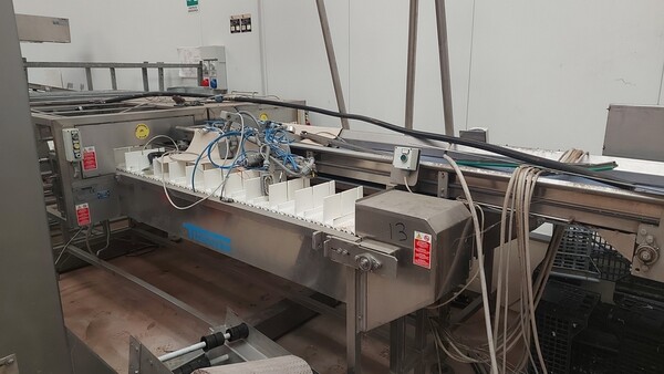 13#6465 Linea lavorazione Tecnoceam in vendita - foto 5