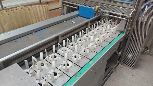 16#6465 Detorsolatrice Tecnoceam in vendita - foto 5