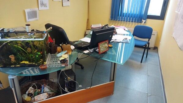 25#6465 Arredo ed attrezzature ufficio in vendita - foto 15