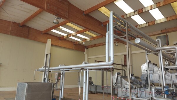 5#6465 Cuocitore Officine Meccaniche Mastromarino in vendita - foto 3
