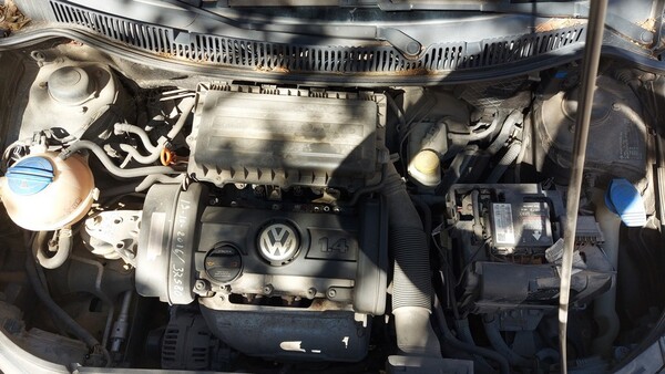 1#6467 Autovettura Volkswagen Polo in vendita - foto 19