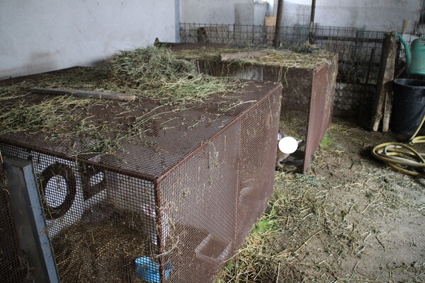 4#6469 Cuscini Bolster Yogamaster e Lettini in plastica in vendita - foto 17