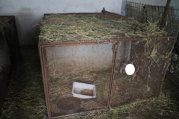 4#6469 Cuscini Bolster Yogamaster e Lettini in plastica in vendita - foto 18