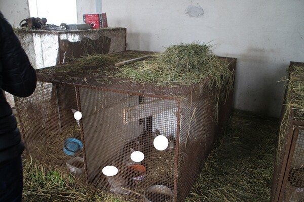 4#6469 Cuscini Bolster Yogamaster e Lettini in plastica in vendita - foto 19