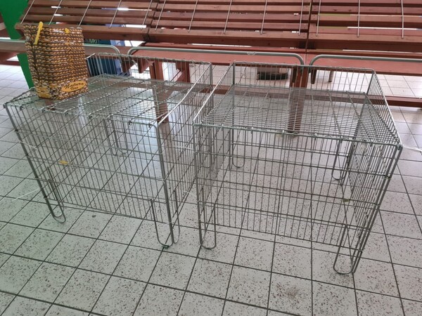 1#6481 Celle Frigo e arredamento da negozio in vendita - foto 40