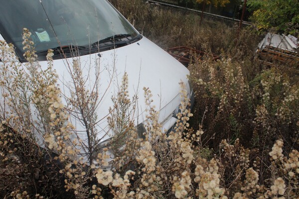 23#6512 Furgone Fiat Scudo in vendita - foto 11