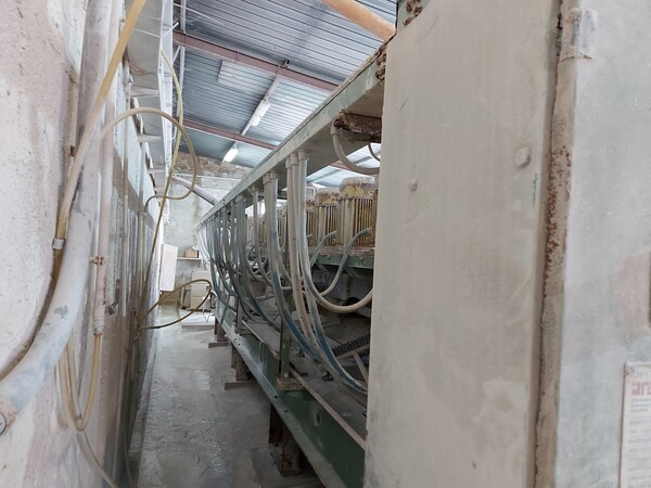 6#6541 Lucidatrice Arena in vendita - foto 4