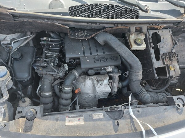 1#6555 Furgone isotermico Citroen Berlingo in vendita - foto 9