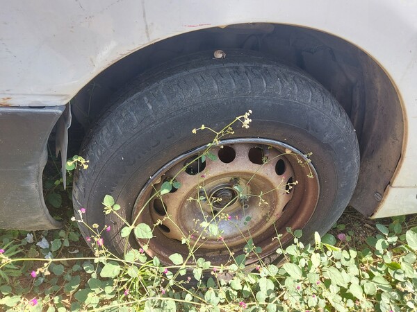 1#6555 Furgone isotermico Citroen Berlingo in vendita - foto 11