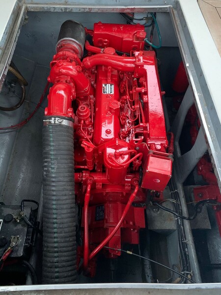 1#6556 Barca a motore Tornado Marine in vendita - foto 21