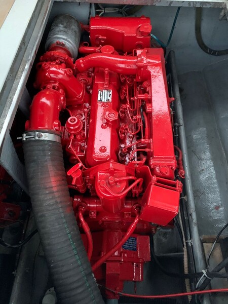 1#6556 Barca a motore Tornado Marine in vendita - foto 26