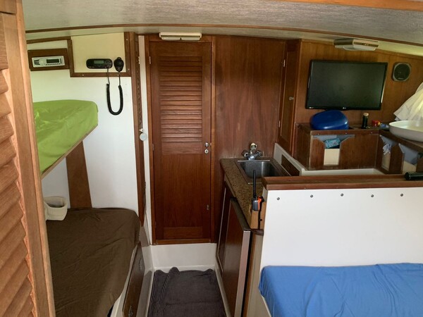 1#6556 Barca a motore Tornado Marine in vendita - foto 28