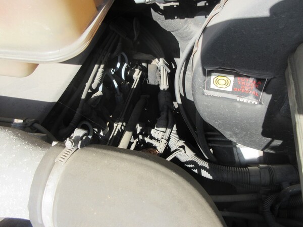 1#6569 Autocarro Iveco 35 c11 in vendita - foto 6