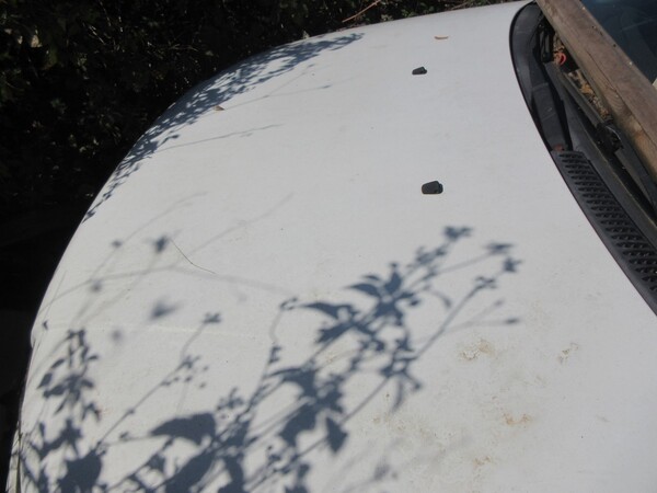 2#6569 Autovettura Fiat Punto jtd in vendita - foto 4
