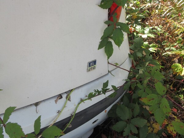 2#6569 Autovettura Fiat Punto jtd in vendita - foto 16