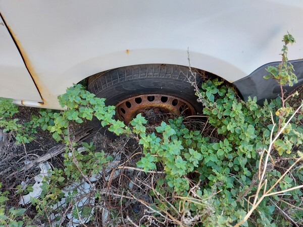 8#6577 Furgone Fiat Panda in vendita - foto 7