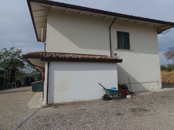 1#6768 Cessione di quota del 100% della società agricola Luogoraro Srl in vendita - foto 3