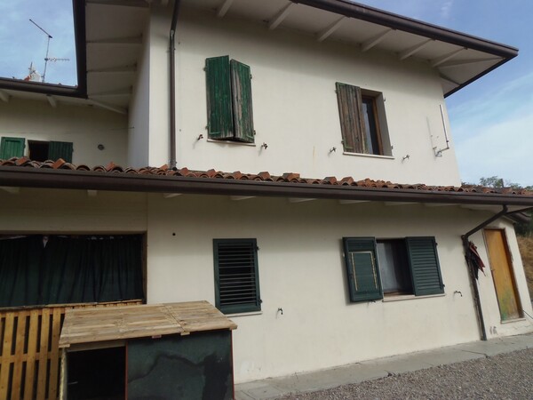 1#6768 Cessione di quota del 100% della società agricola Luogoraro Srl in vendita - foto 7