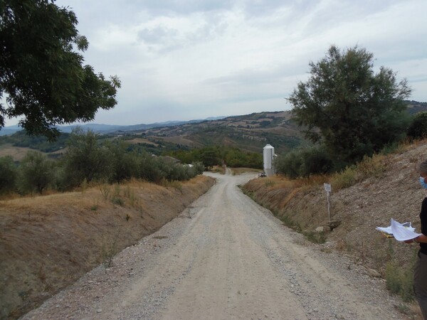 1#6768 Cessione di quota del 100% della società agricola Luogoraro Srl in vendita - foto 48