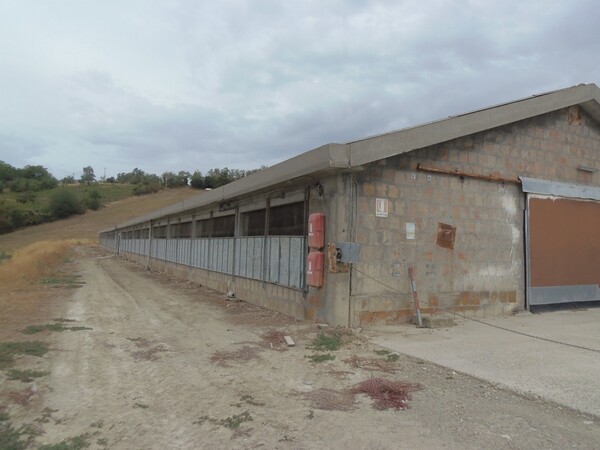 1#6768 Cessione di quota del 100% della società agricola Luogoraro Srl in vendita - foto 50