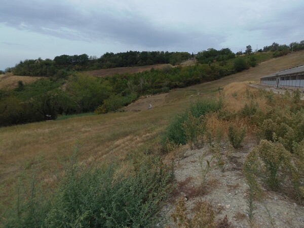1#6768 Cessione di quota del 100% della società agricola Luogoraro Srl in vendita - foto 51