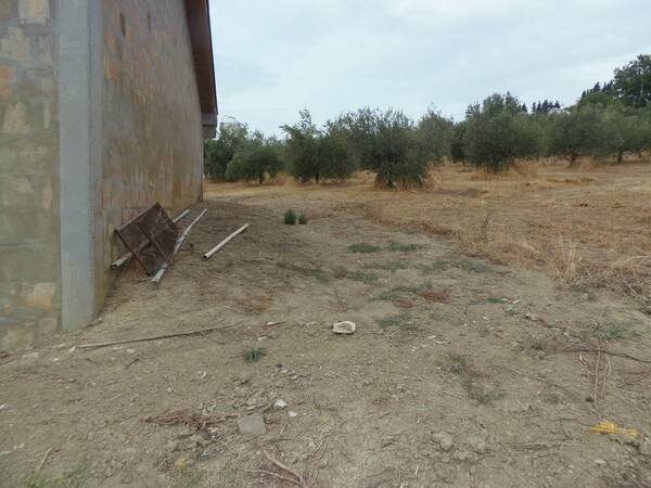 1#6768 Cessione di quota del 100% della società agricola Luogoraro Srl in vendita - foto 63