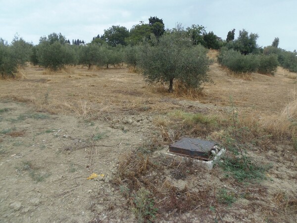 1#6768 Cessione di quota del 100% della società agricola Luogoraro Srl in vendita - foto 64