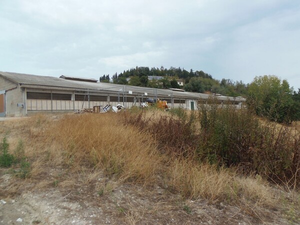 1#6768 Cessione di quota del 100% della società agricola Luogoraro Srl in vendita - foto 65