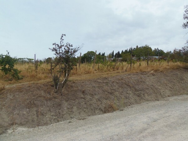 1#6768 Cessione di quota del 100% della società agricola Luogoraro Srl in vendita - foto 68