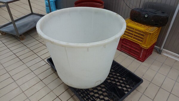 3#6815 Attrezzature per la produzione di formaggi e latticini in vendita - foto 2