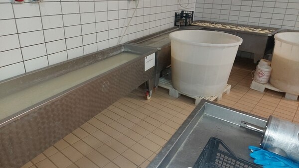 3#6815 Attrezzature per la produzione di formaggi e latticini in vendita - foto 42