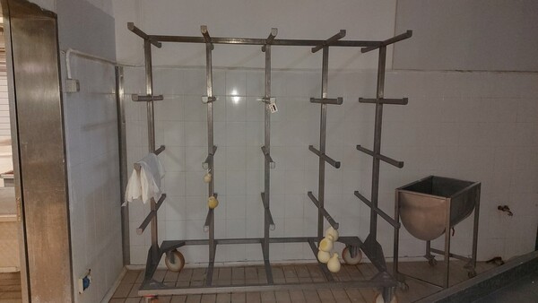 3#6815 Attrezzature per la produzione di formaggi e latticini in vendita - foto 55