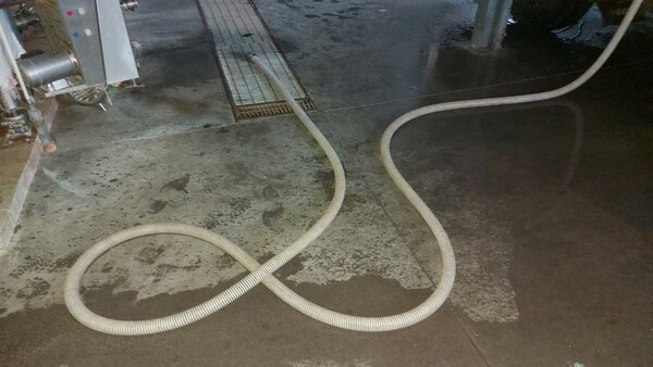 3#6815 Attrezzature per la produzione di formaggi e latticini in vendita - foto 71