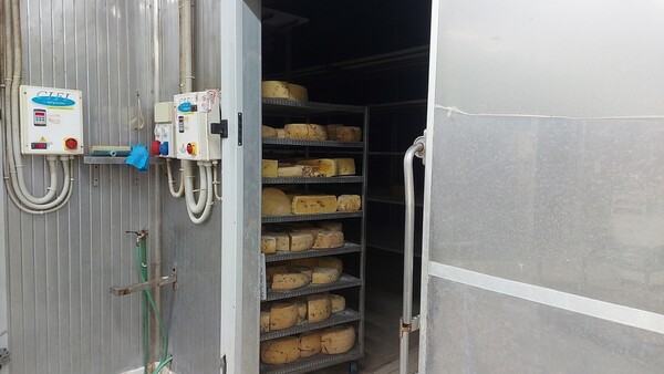 5#6815 Celle refrigeranti con relativo impianto in vendita - foto 20