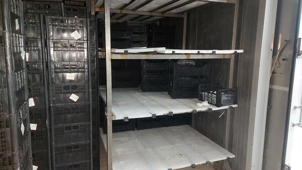 5#6815 Celle refrigeranti con relativo impianto in vendita - foto 25