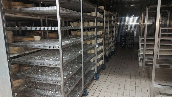 5#6815 Celle refrigeranti con relativo impianto in vendita - foto 33