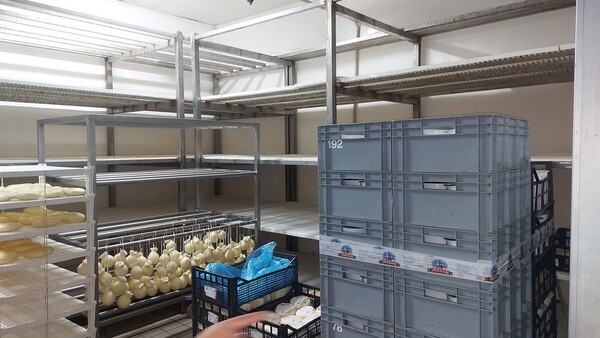 5#6815 Celle refrigeranti con relativo impianto in vendita - foto 44