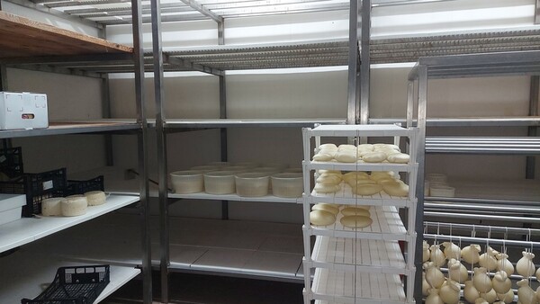 5#6815 Celle refrigeranti con relativo impianto in vendita - foto 45