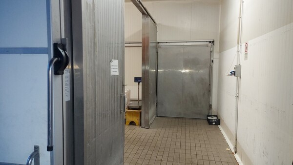 5#6815 Celle refrigeranti con relativo impianto in vendita - foto 47