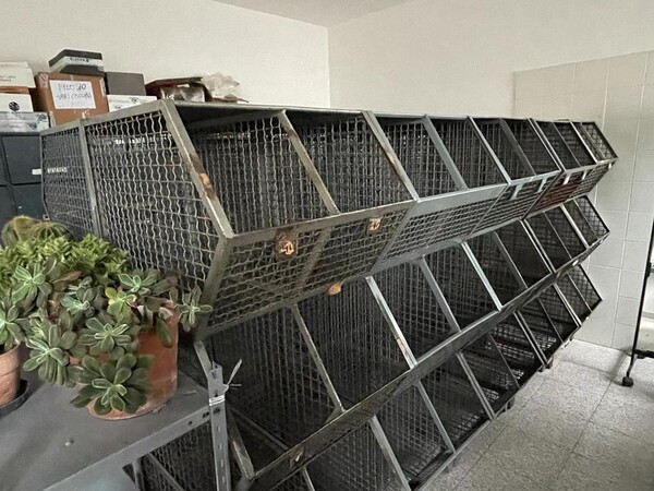 1#6841 Scaffalature e carrelli porta pelli in vendita - foto 10