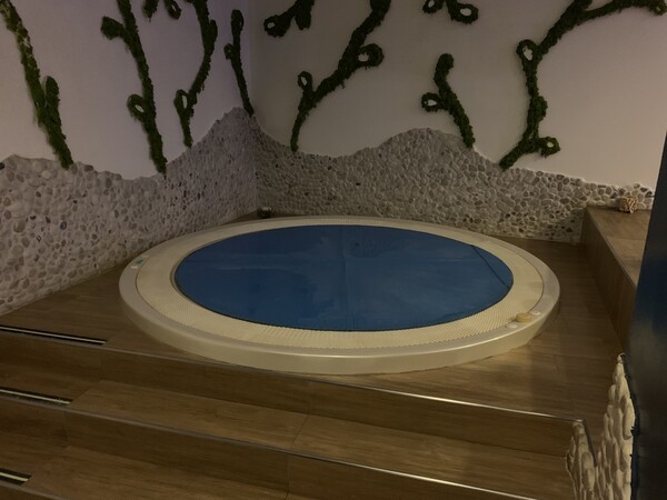 5#6866 Vasca idromassaggio Fabarpool e sauna Harvia in vendita - foto 3