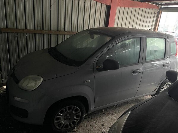 1#6871 Carrelli Cesab e autovetture Fiat in vendita - foto 161