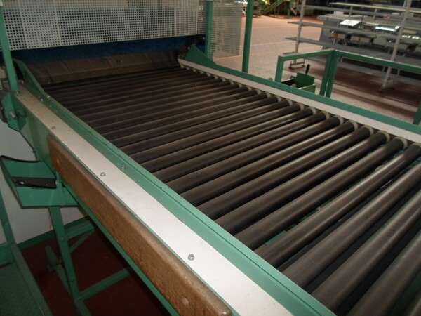 3#69013 Linea di selezione e confezionamento sacchetti/cestini mele in vendita - foto 8