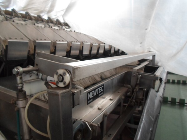 3#69013 Linea di selezione e confezionamento sacchetti/cestini mele in vendita - foto 15