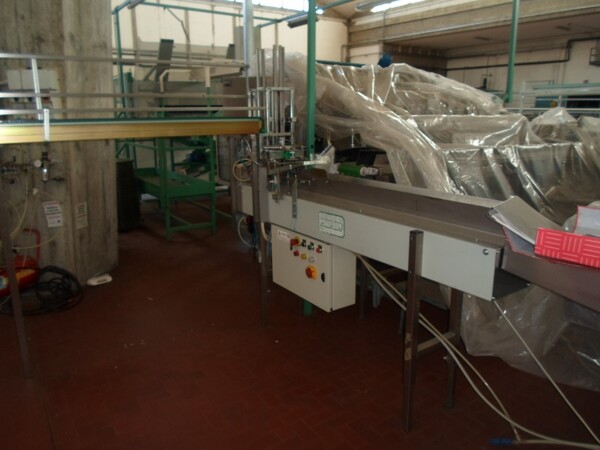 3#69013 Linea di selezione e confezionamento sacchetti/cestini mele in vendita - foto 28