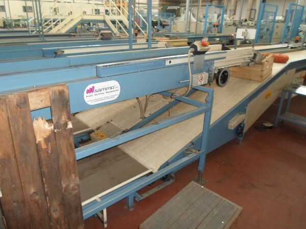 4#69013 Linea di selezione e confezionamento kiwi-pesche in vendita - foto 18