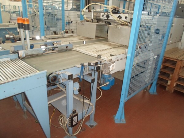 4#69013 Linea di selezione e confezionamento kiwi-pesche in vendita - foto 20