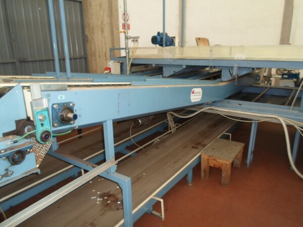 4#69013 Linea di selezione e confezionamento kiwi-pesche in vendita - foto 21