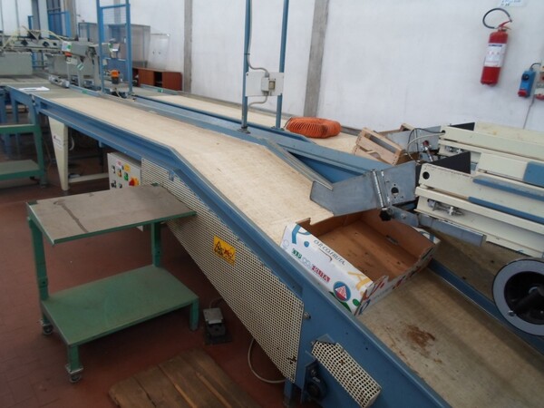 4#69013 Linea di selezione e confezionamento kiwi-pesche in vendita - foto 23